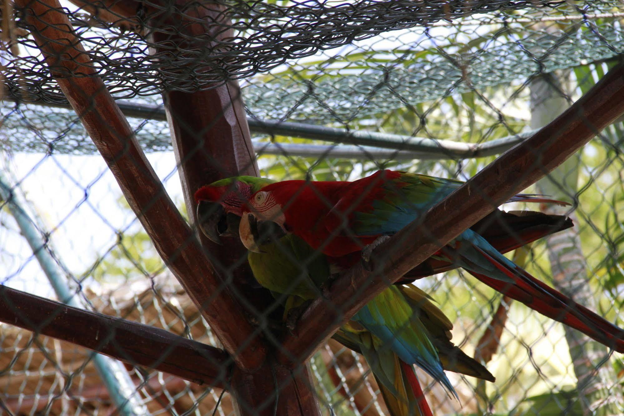 Playa Blanca Beach Resort Playa Blanca (Cocle)